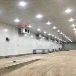 (VN) Mua bán thiết bị tủ đông – tủ mát – máy lạnh